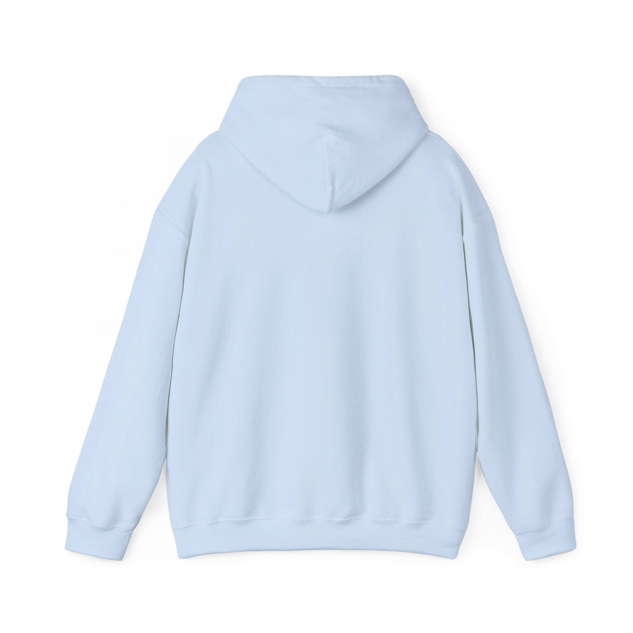 You Missed Again | Land of the Free | Home of the Bravie Hoodie