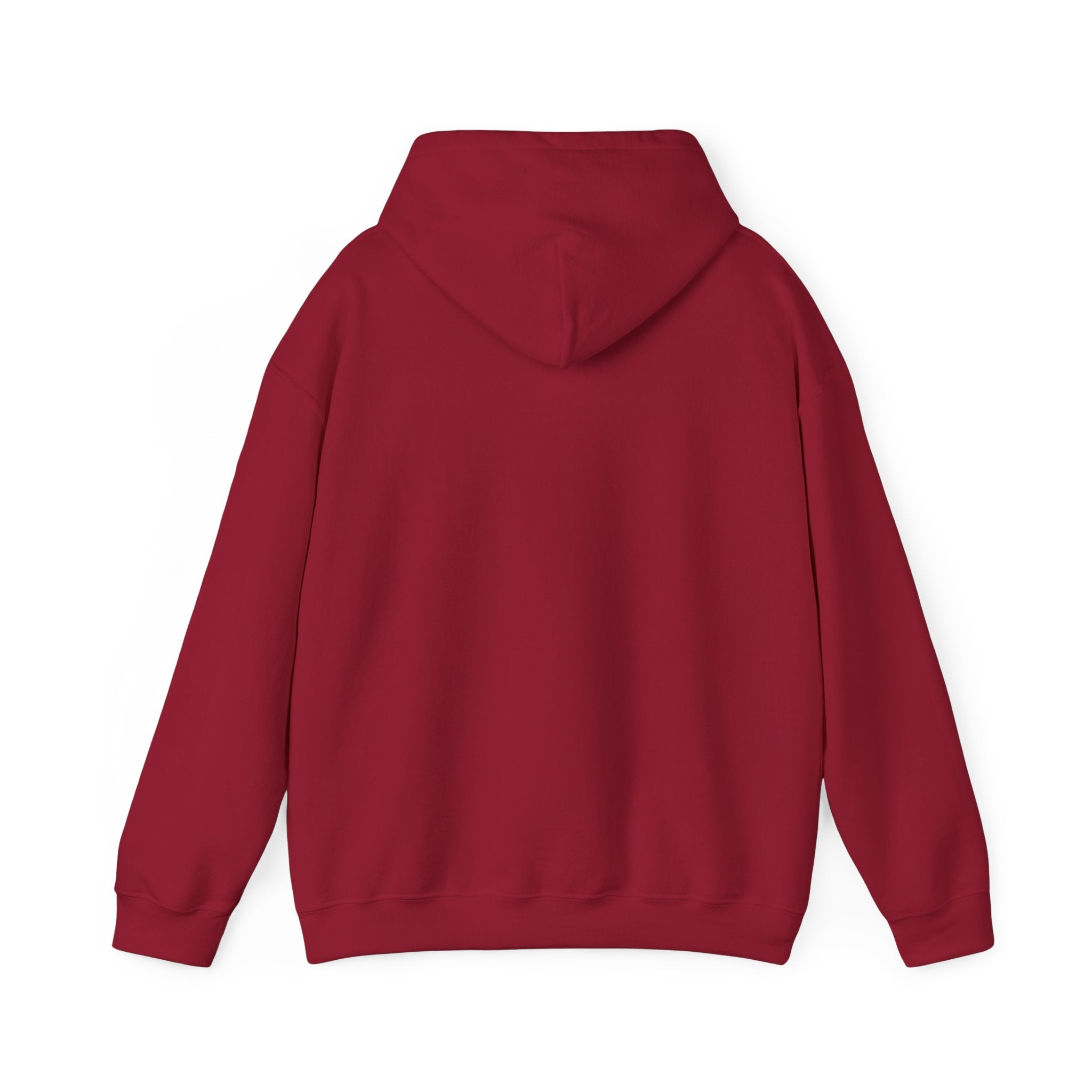 You Missed Again | Land of the Free | Home of the Bravie Hoodie